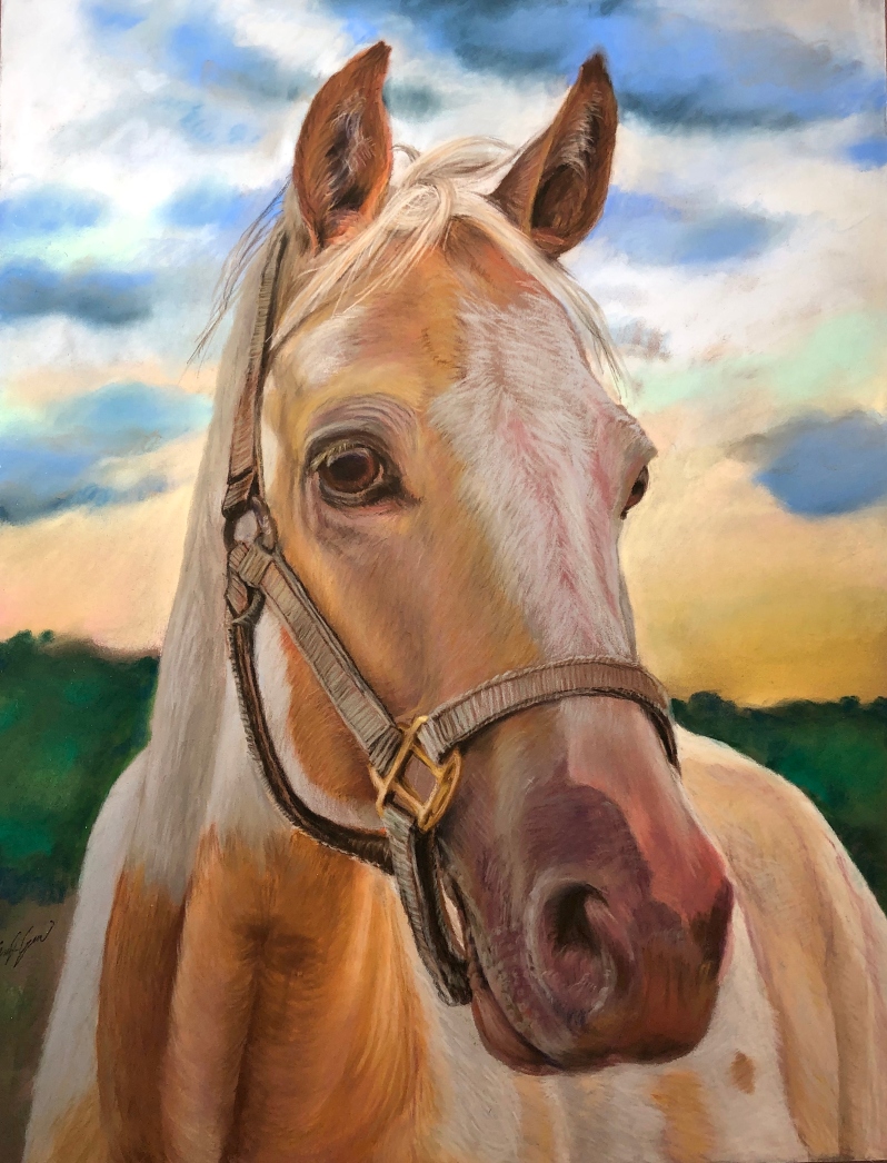Horse by Angel Gardner