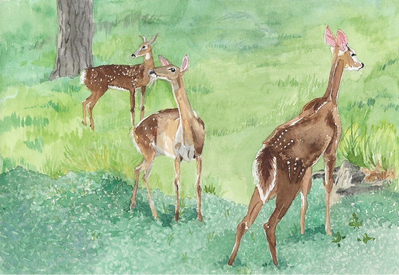 Oh Deer by Margaret Simpson
