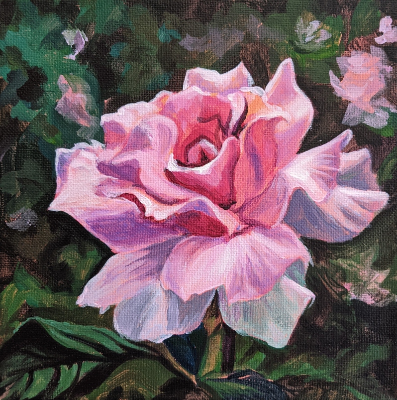 Rose by Medha Kulkarni