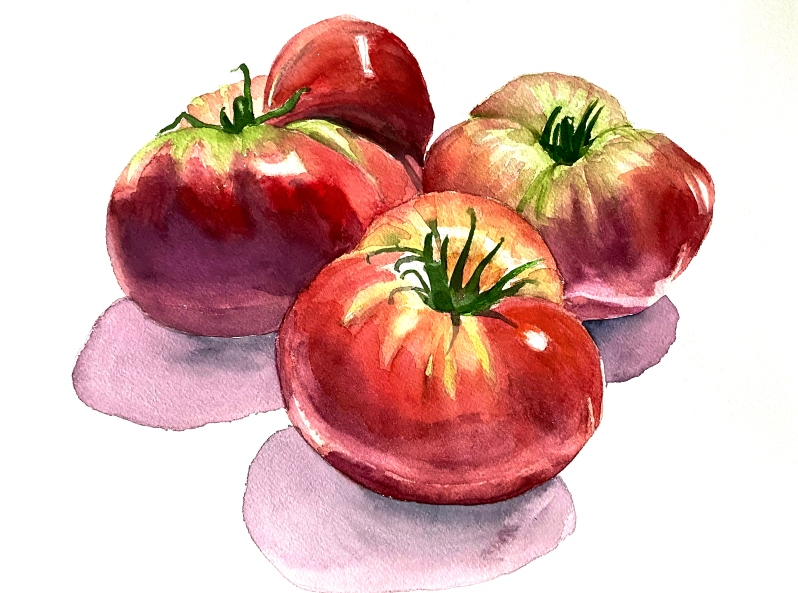 Big Ugly Tomatoes by Margaret Simpson