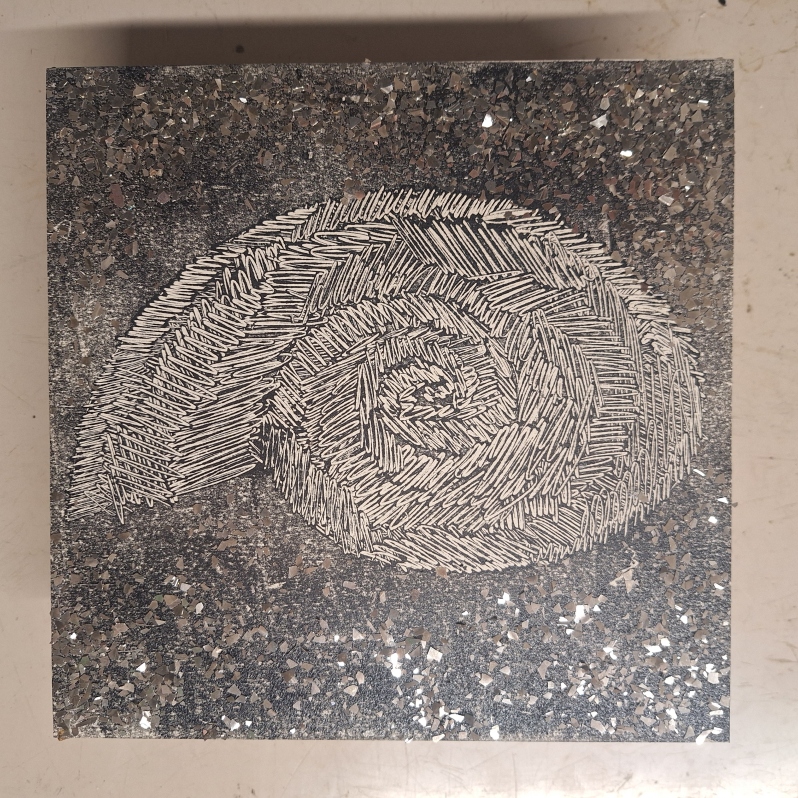 Ammonite by Bruce Lindsay