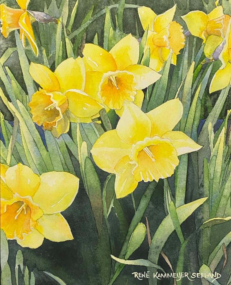 Daffodils by René Kammeyer Seeland