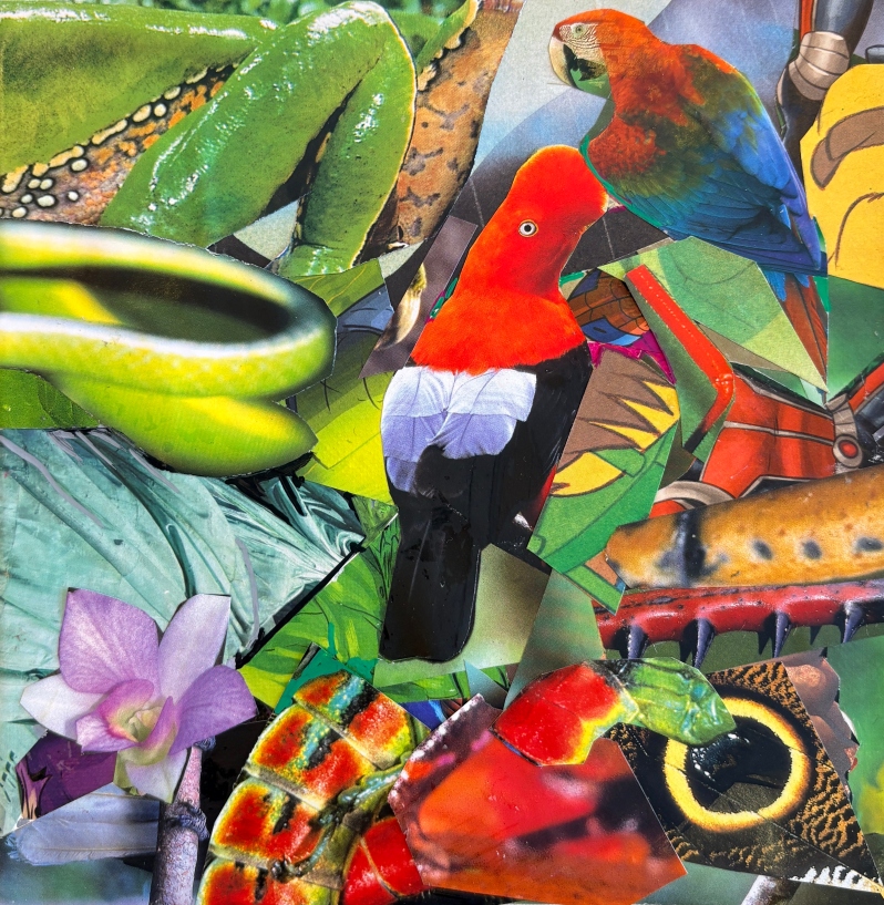 The Beauty of the Natural World by Nancie Gunkelma