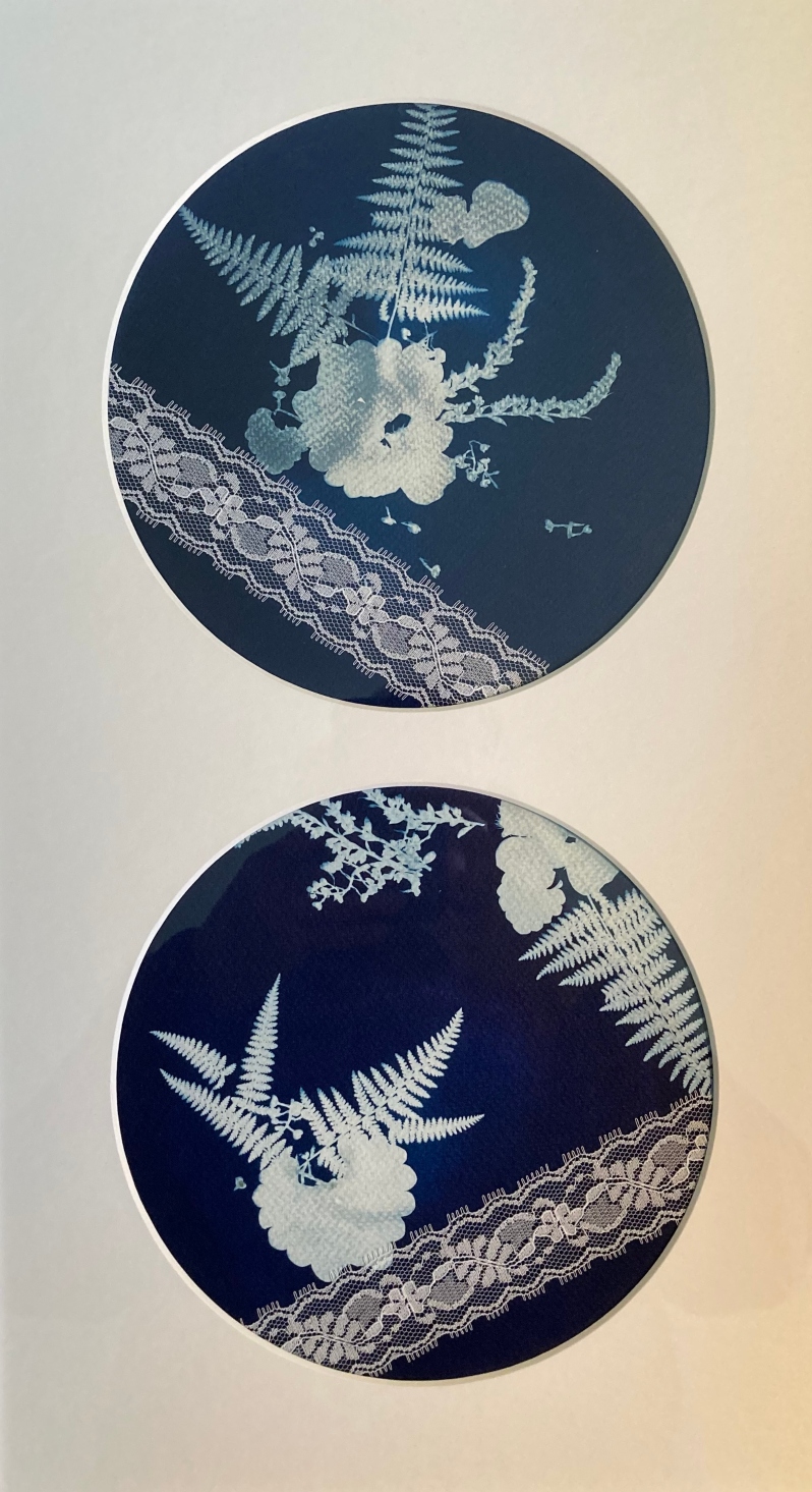 Cyanotypes Duo by Stephanie Cuddahy
