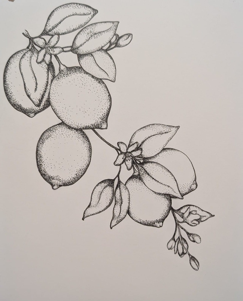 Lemon_botanical Illustration by Rashmi George