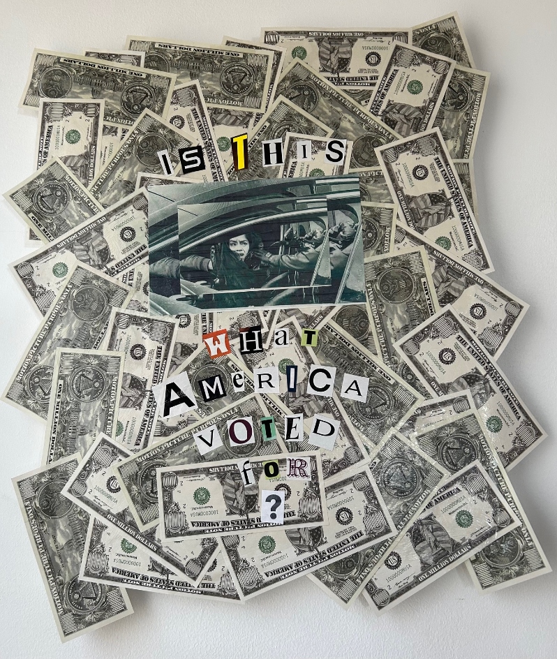 Is This What America Voted For? by Janice Gossman