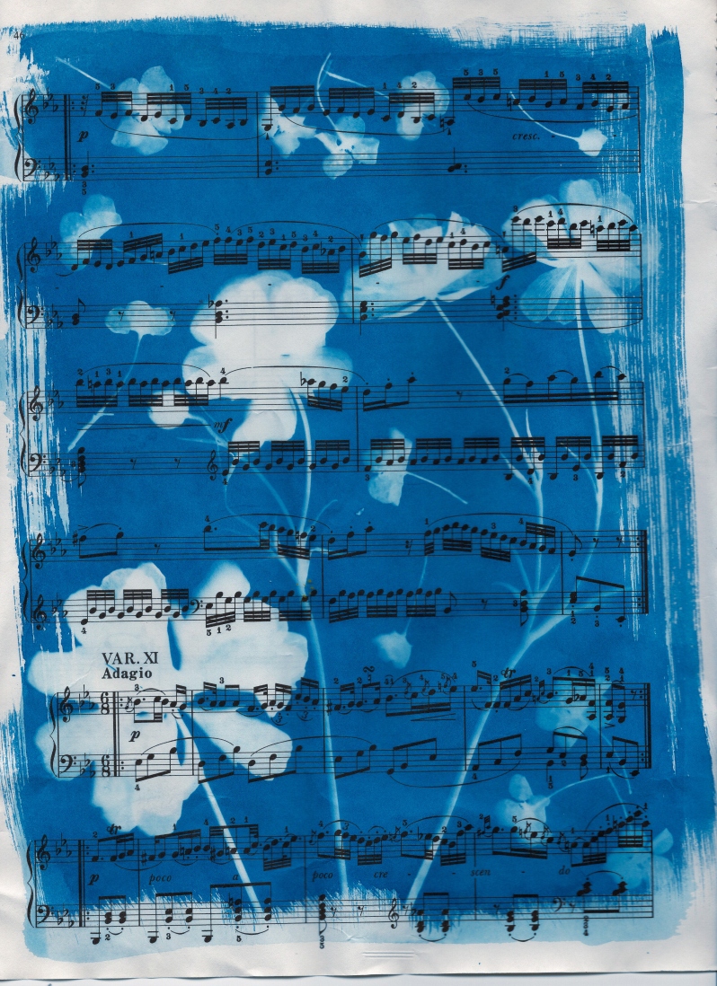 Flowers Are Music to My Eyes by Kathleen L Kent