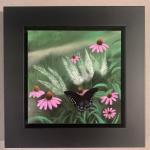 Echinacea and Black Swallowtail by Ray Kopacz